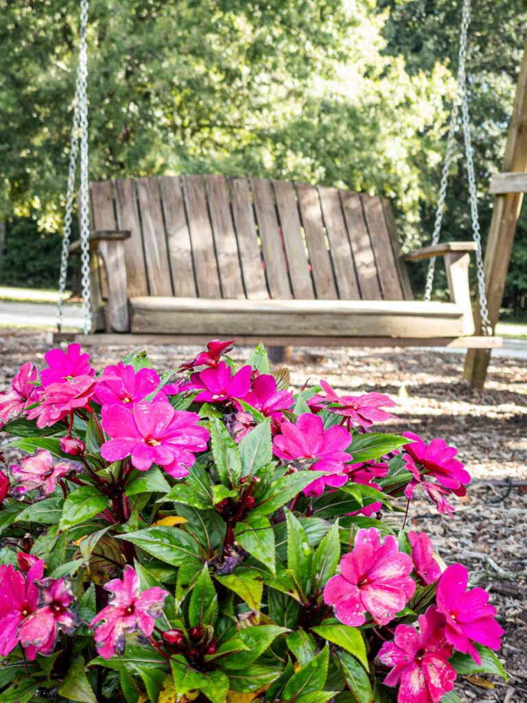 Alt text: Bench above the Garden of Tranquility